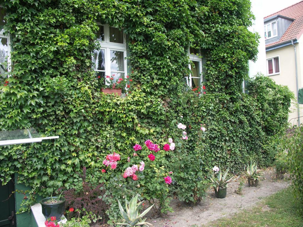 3 Sterne Hotel Frankfurt-Oder Zur Alten Oder 奥得河畔法兰克福 外观 照片
