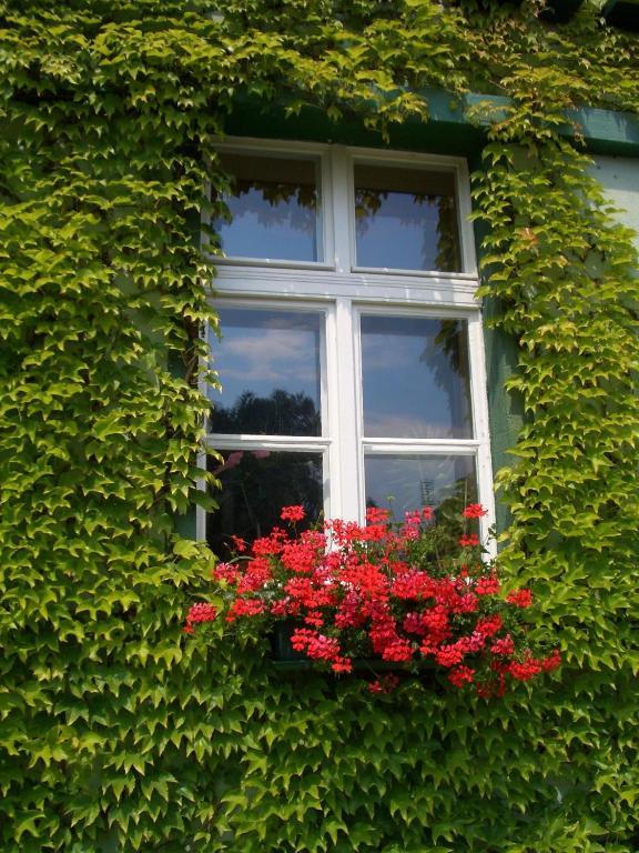 3 Sterne Hotel Frankfurt-Oder Zur Alten Oder 奥得河畔法兰克福 外观 照片